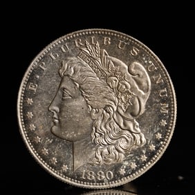 USA Morgan Dollar 1880 Coin