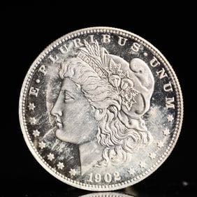 USA Morgan Dollar 1902 Coin