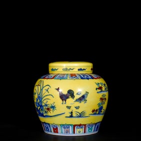 An Exquisite Doucai Flower and Rooster Pattern Jar