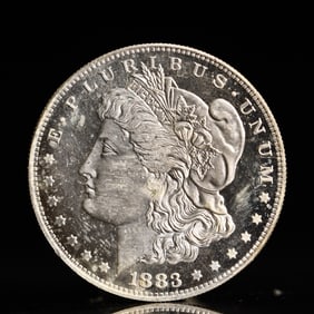 USA Morgan Dollar 1883 Coin