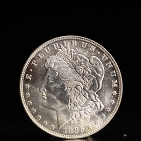 USA Morgan Dollar 1885 Coin