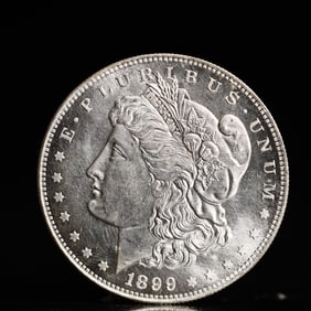 USA Morgan Dollar 1899 Coin