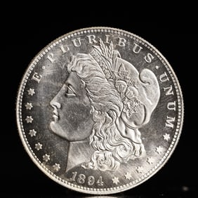 USA Morgan Dollar 1894 Coin