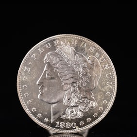 USA Morgan Dollar 1880 Coin