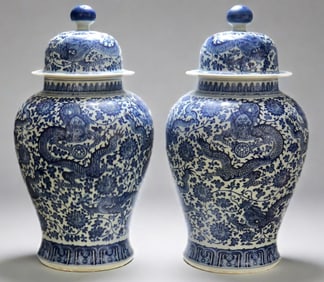 A Pair of Exquisite Blue and White Lotus Pattern Dragon Pattern Jar