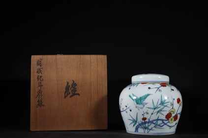 An Exquisite Doucai Flower and Bird Pattern Jar