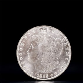 USA Morgan Dollar 1885 Coin