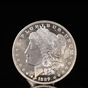 USA Morgan Dollar 1889 Coin