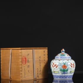 An Exquisite Doucai Flower and Bird Pattern Jar