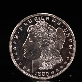 USA Morgan Dollar 1880 Coin