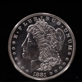 USA Morgan Dollar 1881 Coin