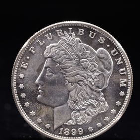 USA Morgan Dollar 1899 Coin