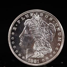 USA Morgan Dollar 1881 Coin
