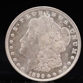 USA Morgan Dollar 1896 Coin
