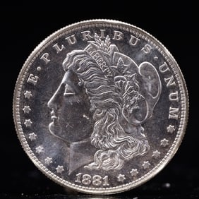 USA Morgan Dollar 1881 Coin