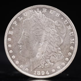 USA Morgan Dollar 1894 Coin