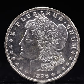 USA Morgan Dollar 1886 Coin