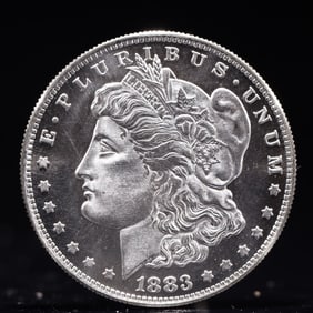 USA Morgan Dollar 1884 Coin