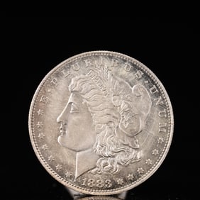 USA Morgan Dollar 1883 Coin