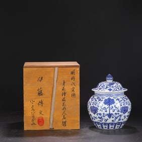 An Exquisite Blue and White Lotus Pattern Jar