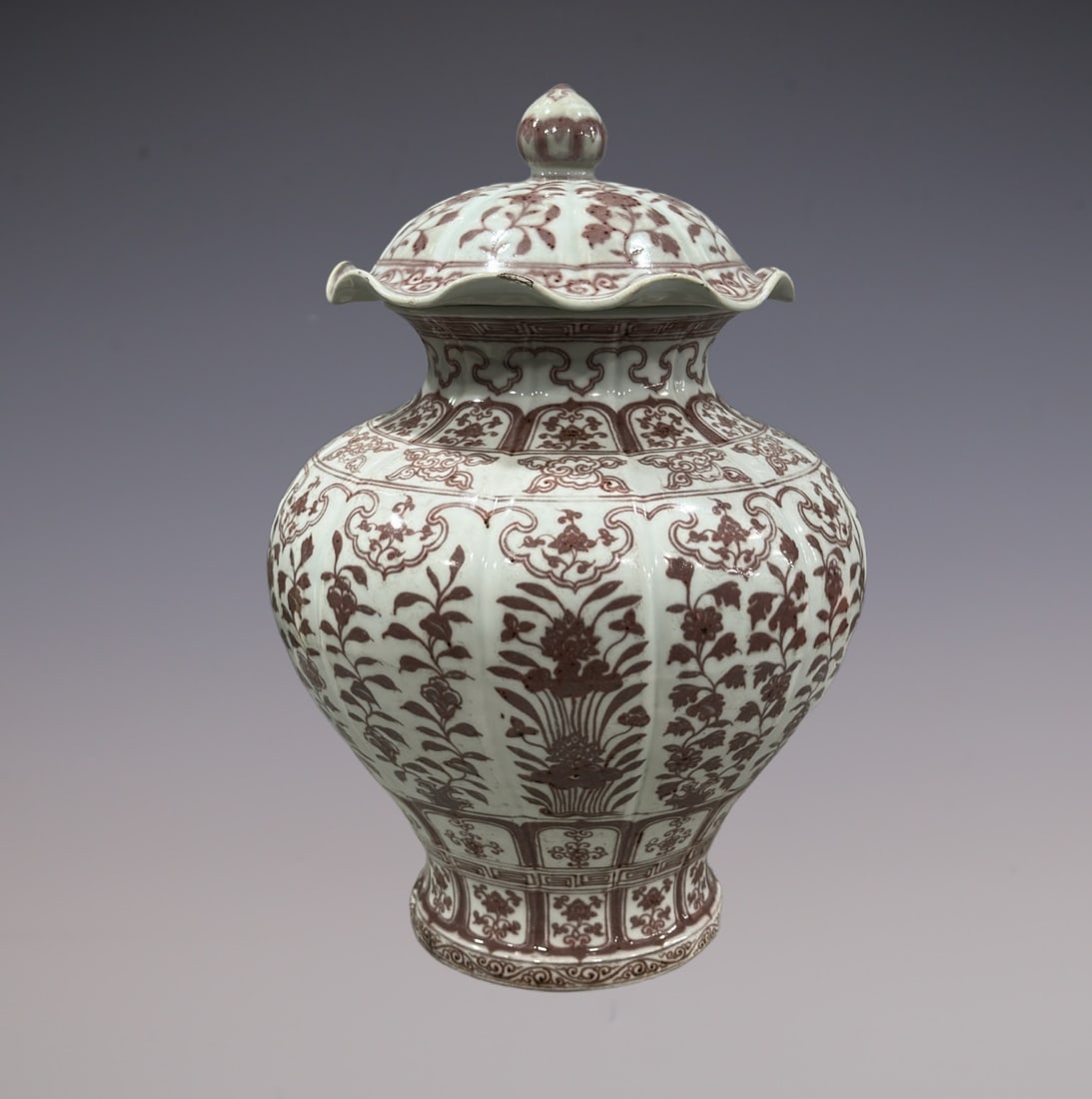An Exquisite Blue and White Underglaze-Red Flower Pattern Jar (1 of 9)