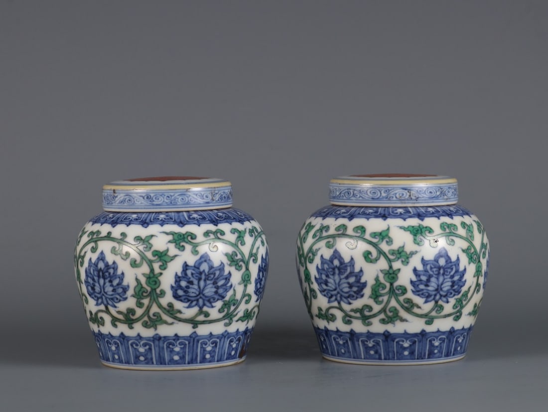 A Pair of Exquisite Doucai Lotus Pattern Jar (1 of 9)