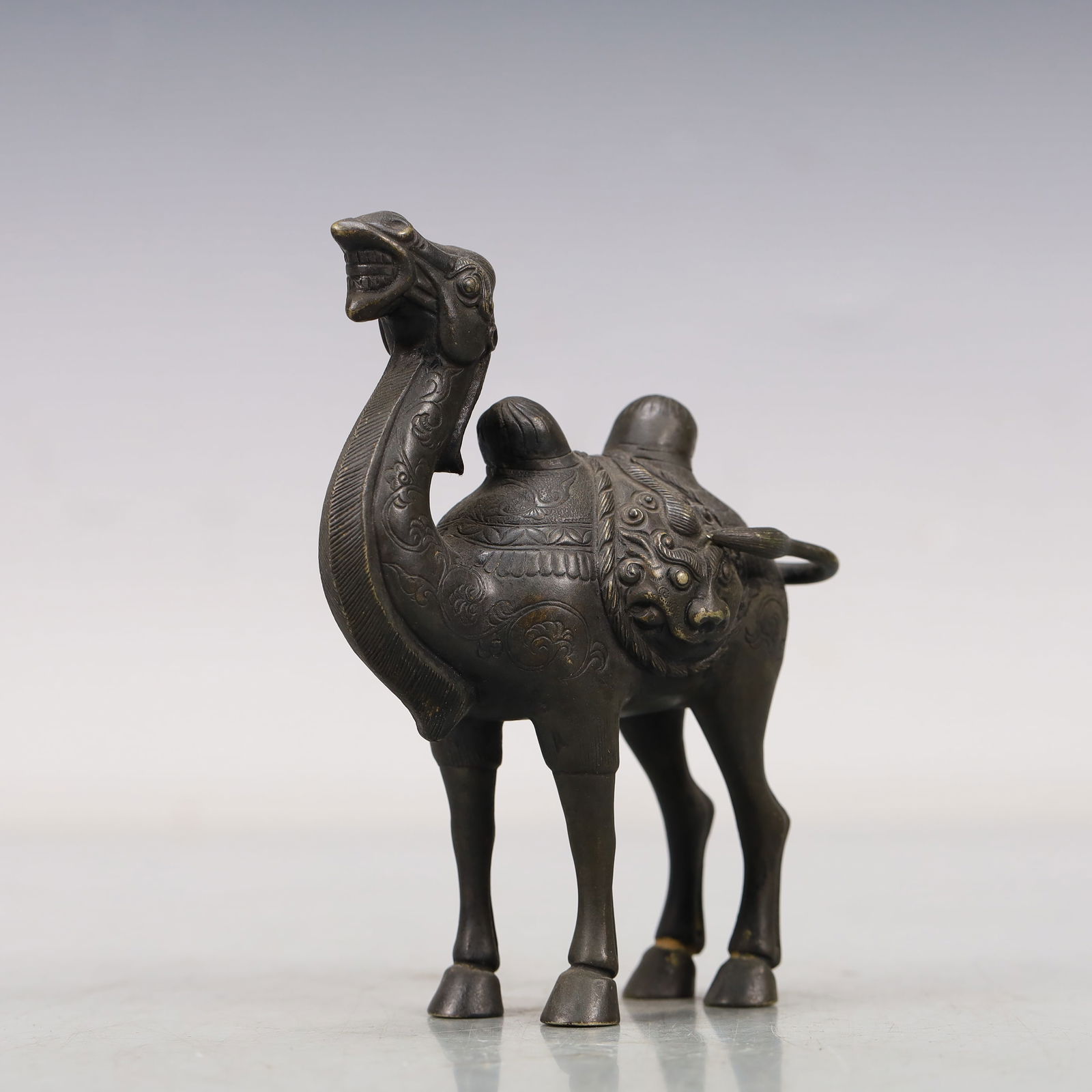 A Wonderful Silver Camel - 3