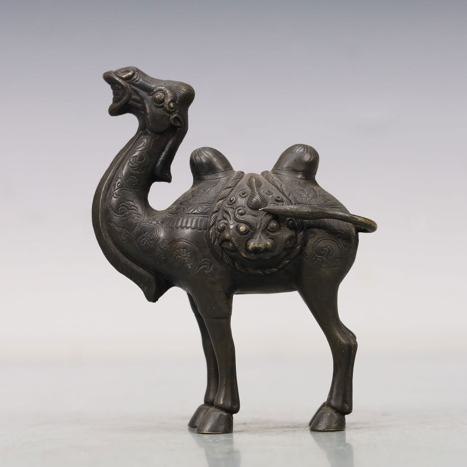 A Wonderful Silver Camel - 4