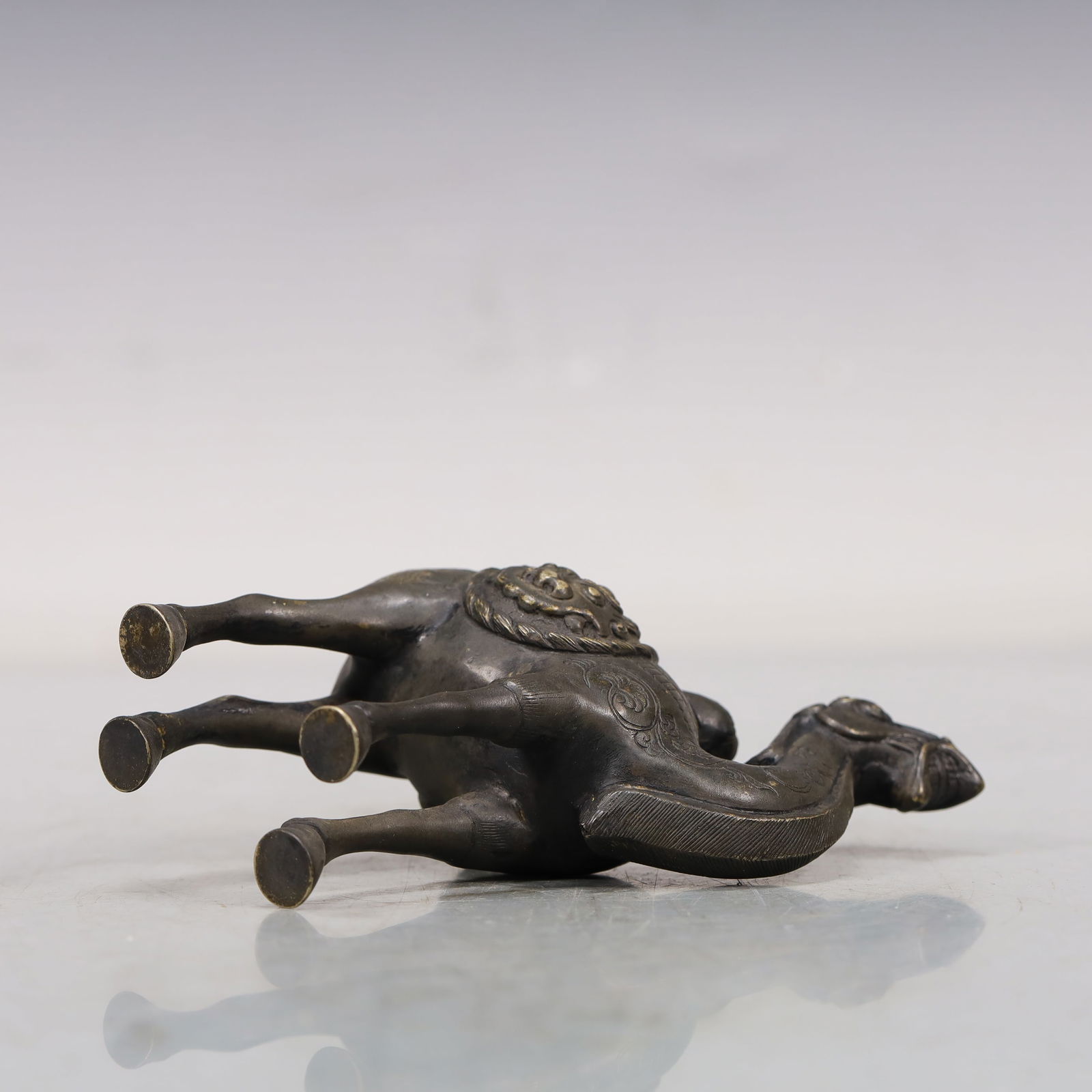 A Wonderful Silver Camel - 7