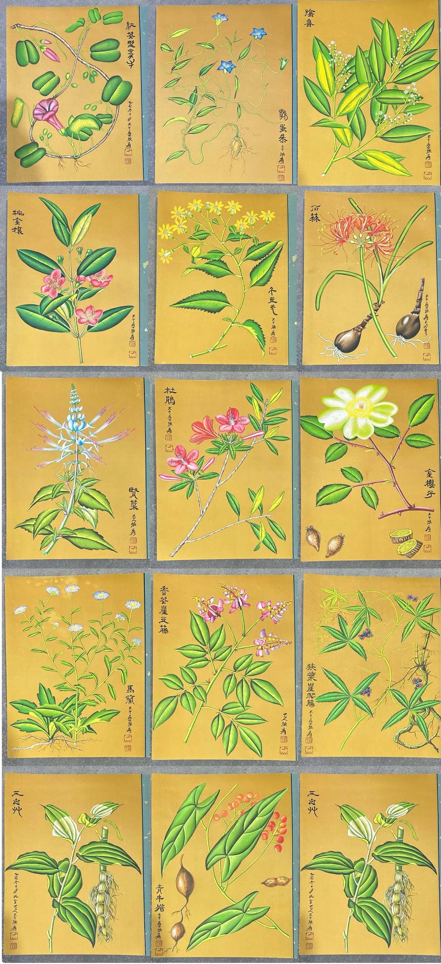 A Chinese Album Ink Painting of Flower on Silk: A Chinese Album Ink Painting of Flower on Silk,Zhang Daqian,Size:17.1inx13inx1.2in 一本中国水墨绢本花卉画册,张大