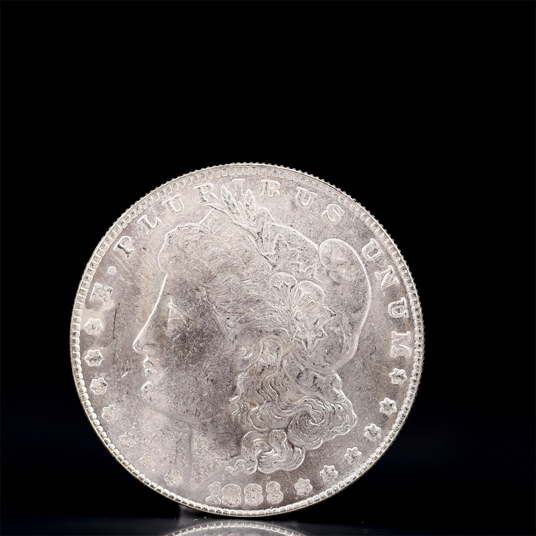 USA Morgan Dollar 1883 Coin: Obv: profile bust with date below and E PLURIBUS UNUM legend and stars around. Rev: eagle with In God we trust above within wreath with UNITED STATES OF AMERICA ONE DOLLAR legend. IN GOD WE TRUST / LI