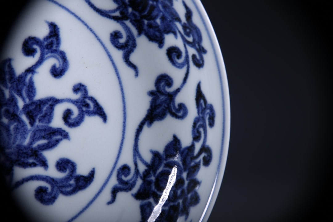 Blue and White Lotus Pattern Plate - 3