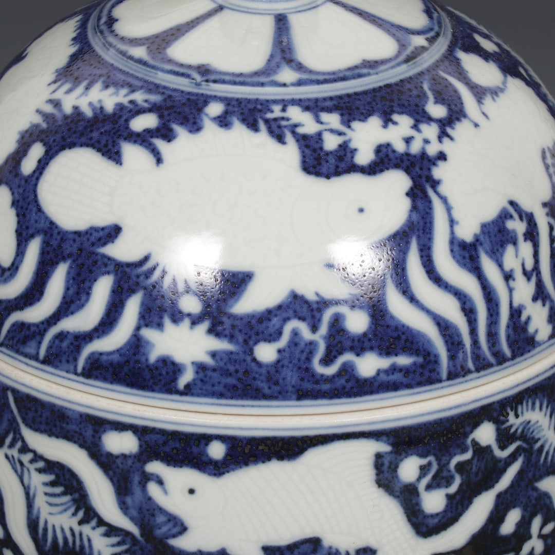 A Exquisite Blue and White Fish and Algae Pattern Jar - 2