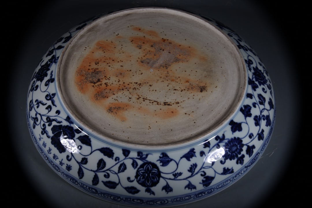 Blue and White Lotus Pattern Plate - 7