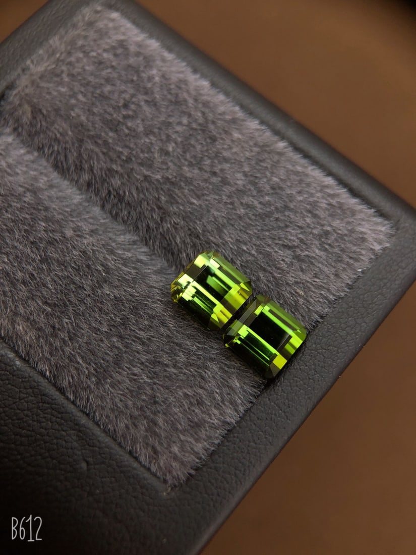 A Pair of 4.93Ctw Natural Tourmaline Earrings: A Pair of 4.93Ctw Natural Tourmaline Earrings,Size:0.3inx0.3inx0.2in 一对4.93Ctw天然碧玺耳钉