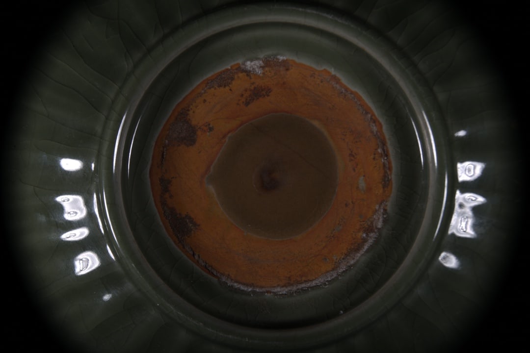 Longquan yao Plate - 6