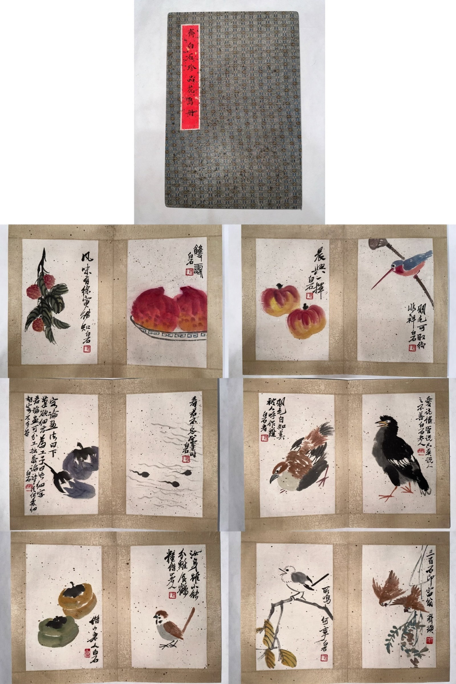 A Chinese Album Ink Painting of Flower and Bird on Paper: A Chinese Album Ink Painting of Flower and Bird on Paper,Qi Baishi,Size:9.1inx13.4in 一本中国水墨花鸟画册,齐白石