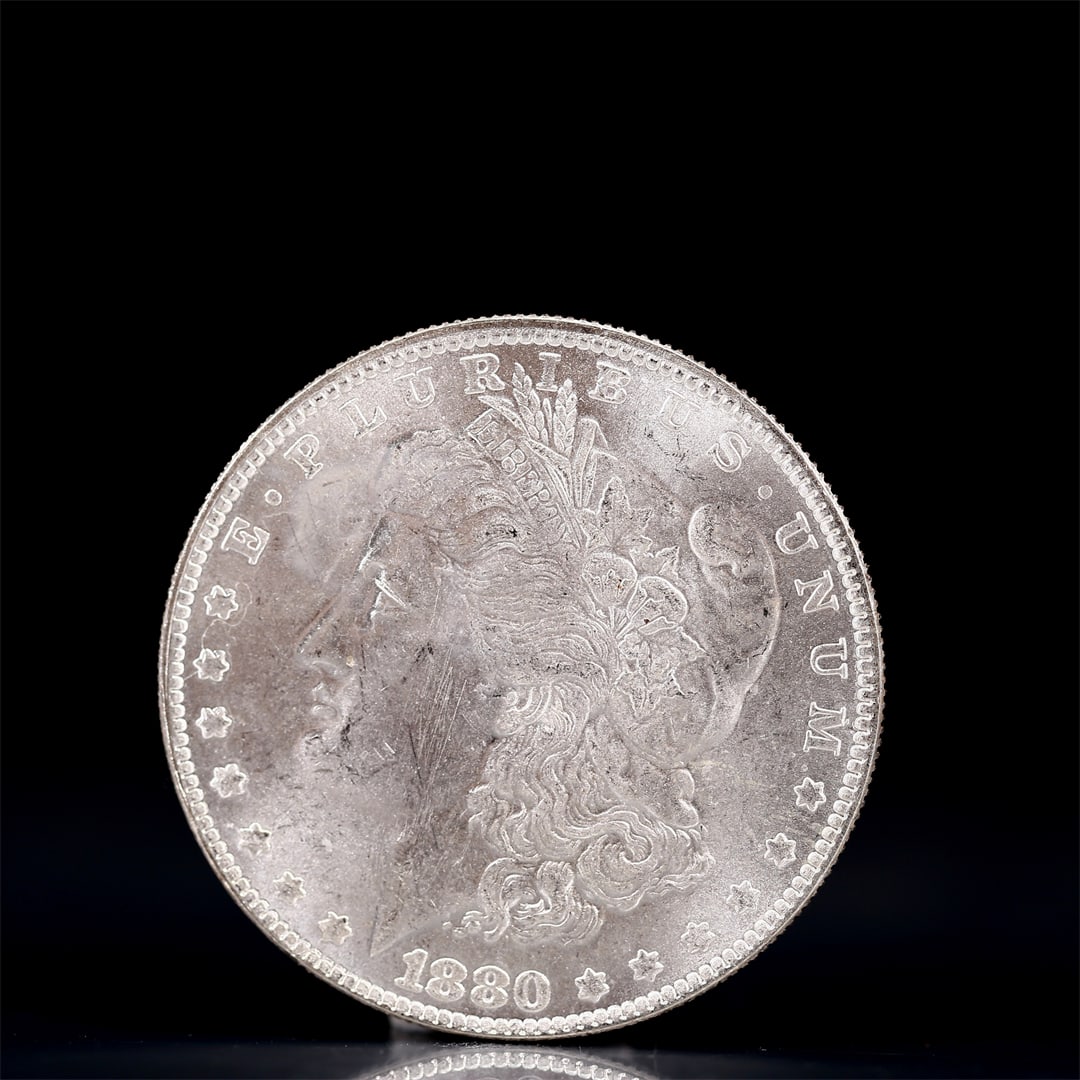 USA Morgan Dollar 1880 Coin: Obv: profile bust with date below and E PLURIBUS UNUM legend and stars around. Rev: eagle with In God we trust above within wreath with UNITED STATES OF AMERICA ONE DOLLAR legend. IN GOD WE TRUST / LI