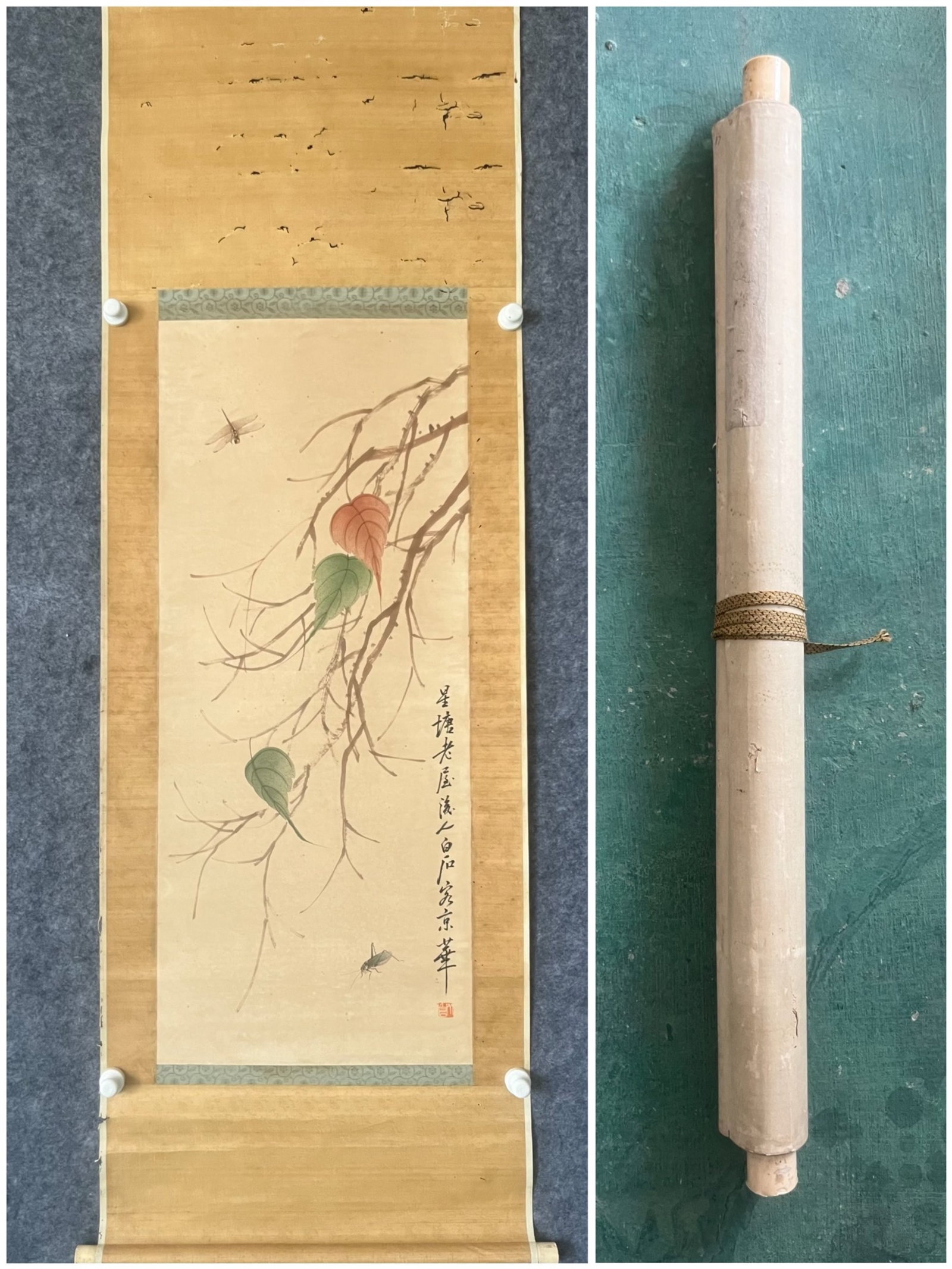 A Chinese Vertical Scroll Ink Painting of Insect on Paper: A Chinese Vertical Scroll Ink Painting of Insect on Paper,Qi Baishi,Size:16.5inx39.4in 一幅中国水墨昆虫画立轴,齐白石