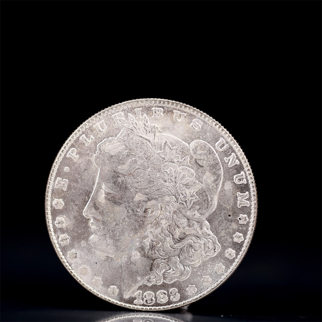 USA Morgan Dollar 1883 Coin: Obv: profile bust with date below and E PLURIBUS UNUM legend and stars around. Rev: eagle with In God we trust above within wreath with UNITED STATES OF AMERICA ONE DOLLAR legend. IN GOD WE TRUST / LI