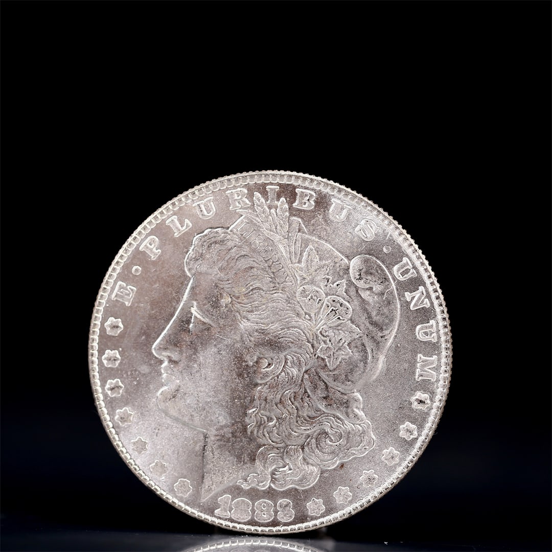 USA Morgan Dollar 1883 Coin: Obv: profile bust with date below and E PLURIBUS UNUM legend and stars around. Rev: eagle with In God we trust above within wreath with UNITED STATES OF AMERICA ONE DOLLAR legend. IN GOD WE TRUST / LI