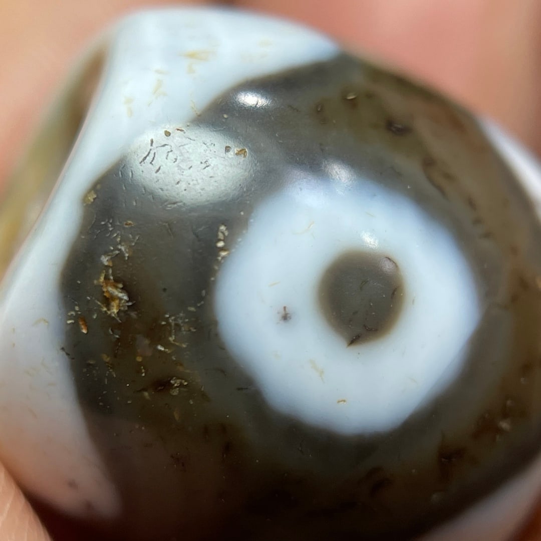 A Exquisite One Eye Dzi bead - 11
