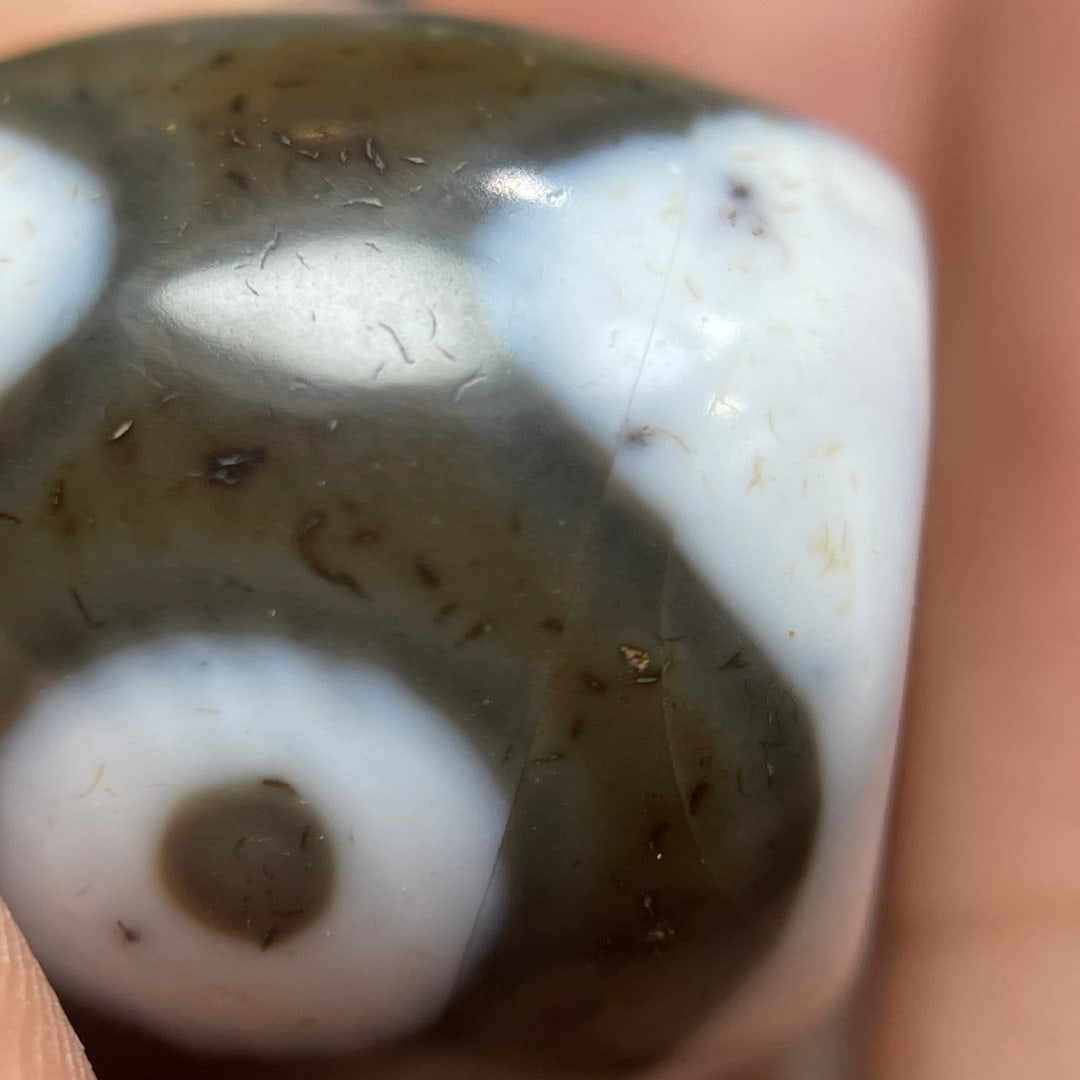 A Exquisite One Eye Dzi bead - 12