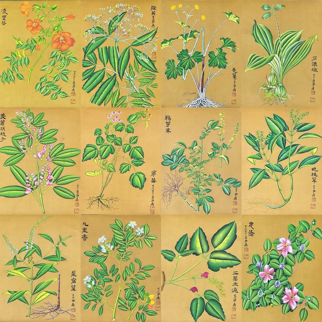 A Set of Chinese Ink Paintings of Flowers on Silk: A Set of Chinese Ink Paintings of Flowers on Silk,Modern Time of China,Zhang Daqian,closed size:16.9inx13inx1in