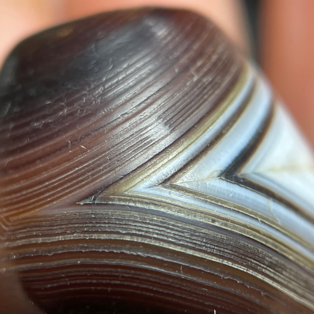 A Exquisite Agate Dzi bead - 5