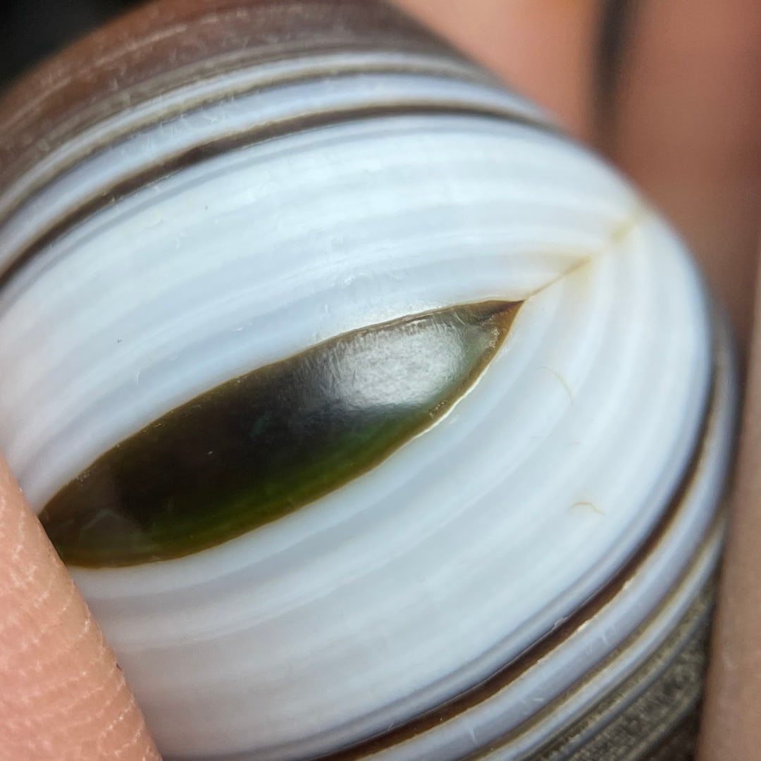 A Exquisite Agate Dzi bead - 7