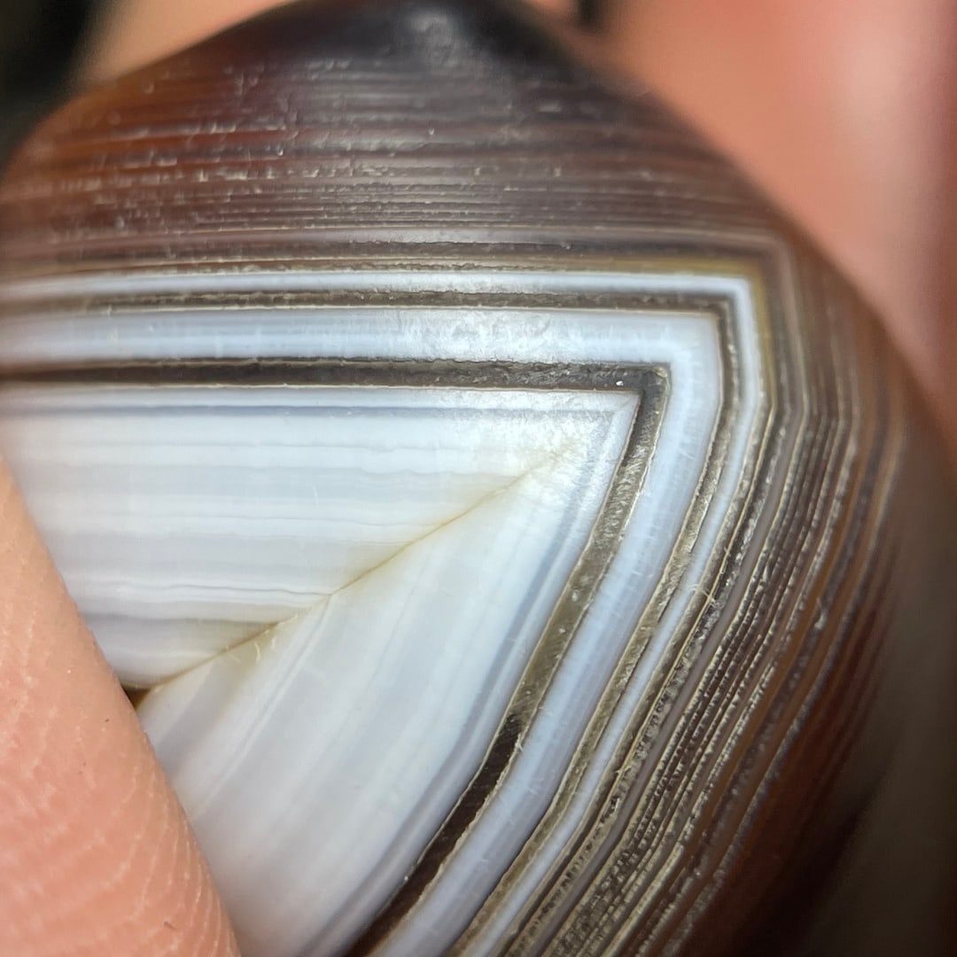 A Exquisite Agate Dzi bead - 8