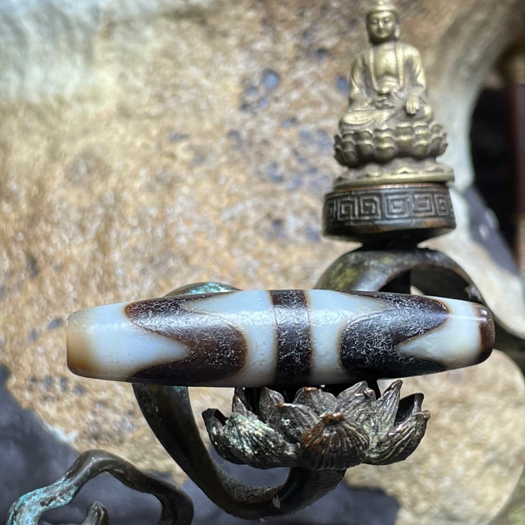 A Exquisite Tiger Tooth Dzi bead: A Exquisite Tiger Tooth Dzi bead,Qing Dynasty, China,Size:0.5inx2.1in 虎牙天珠,中国清代