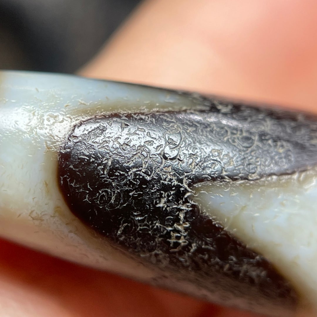 A Exquisite Tiger Tooth Dzi bead - 5