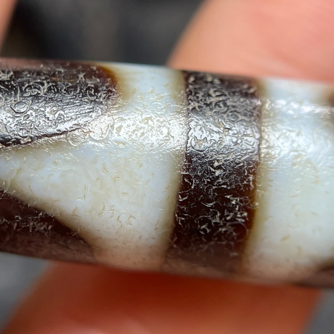 A Exquisite Tiger Tooth Dzi bead - 6